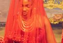 Imo Agog as Prince Amadi’s Daughter Marries Abuja Billionaire Power Okoro in Grand Traditional Celebration